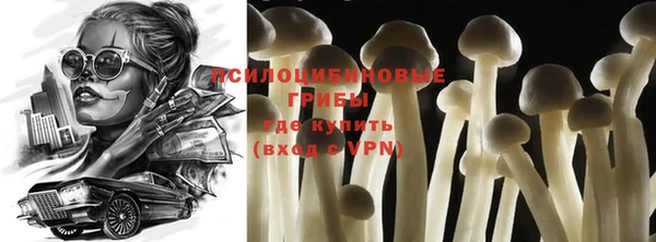 молекула духа Краснослободск