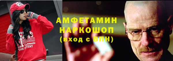 молекула духа Краснослободск