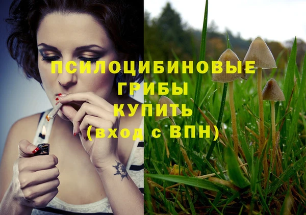 молекула духа Краснослободск