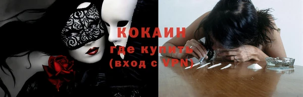 молекула духа Краснослободск