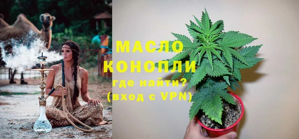 молекула духа Краснослободск