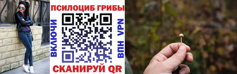 Псилоцибиновые грибы прущие грибы  Купить  Болохово 