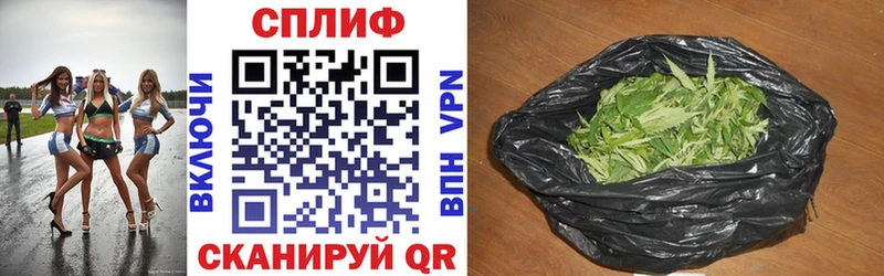 Купить закладки  Болохово  Бошки марихуана планчик 